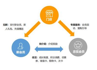 聚貝合作十大SaaS品牌深度解析 銀豹與停貝的品牌管理之道